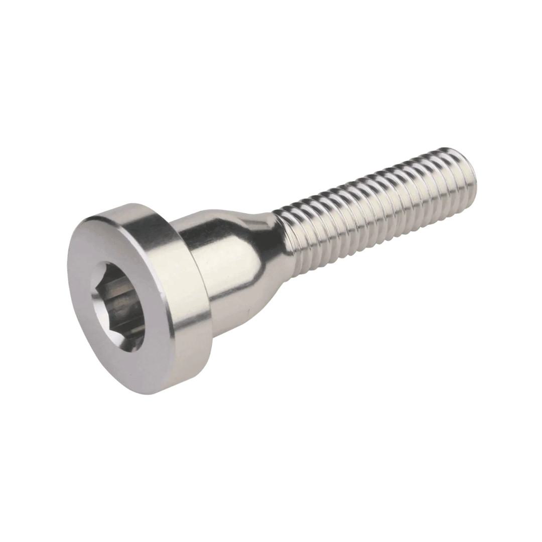 Burgtec Top Cap Bolt - Plata